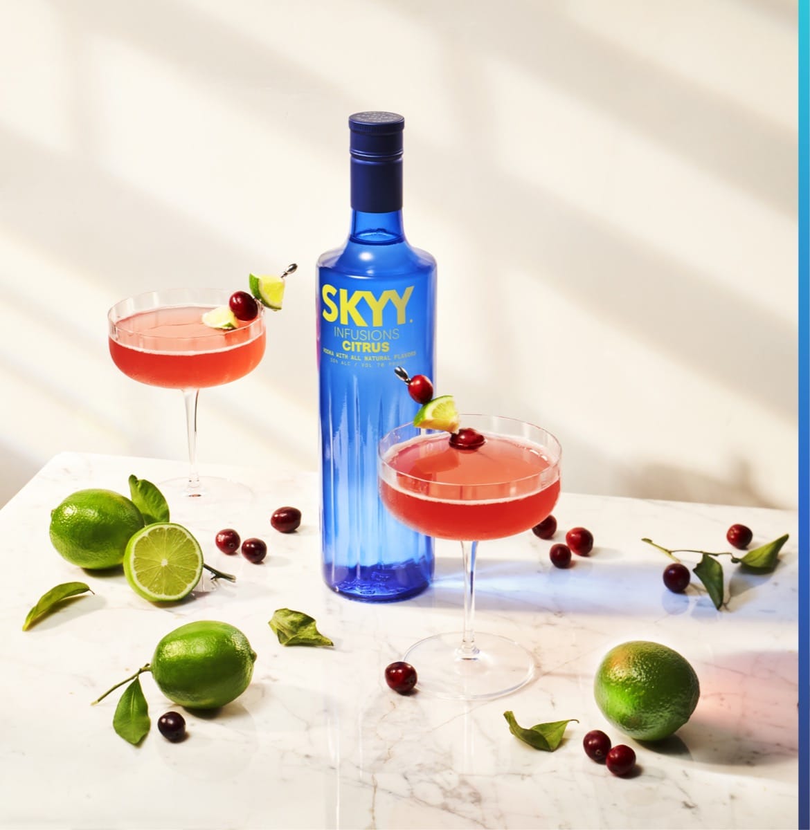 SKYY® VODKA LAUNCHES NEW GLOBAL CAMPAIGN