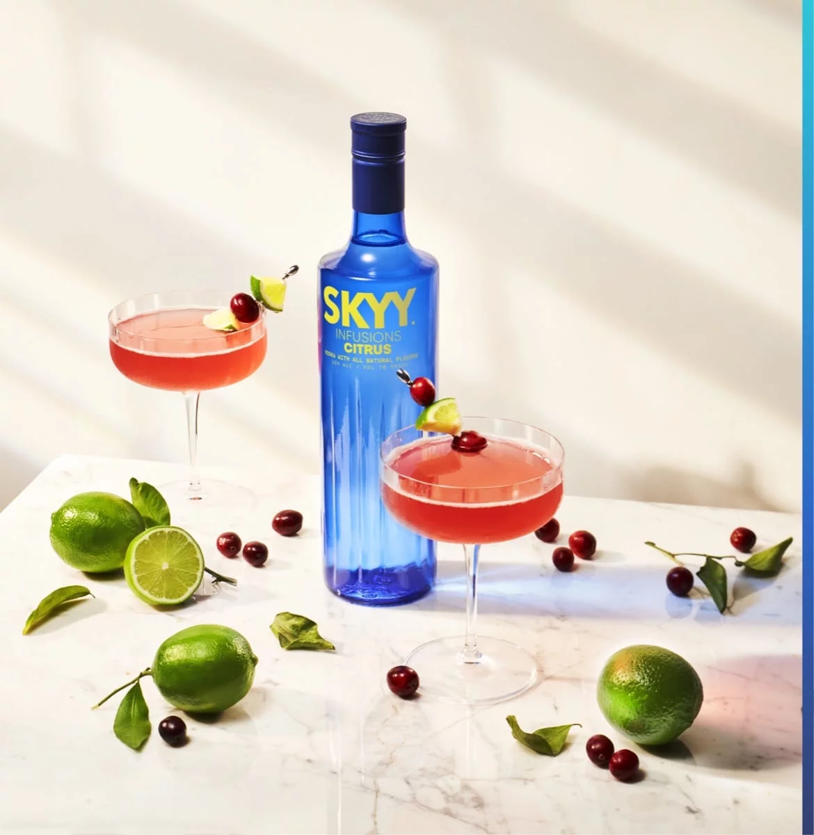 cocktail-cosmopolitan-hero